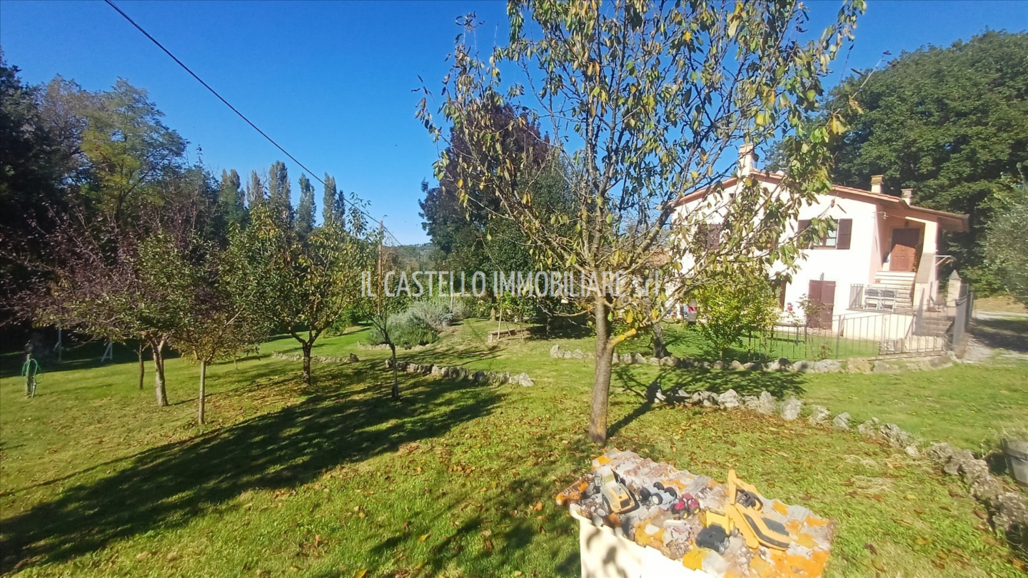 immagine annuncio 3 di 9