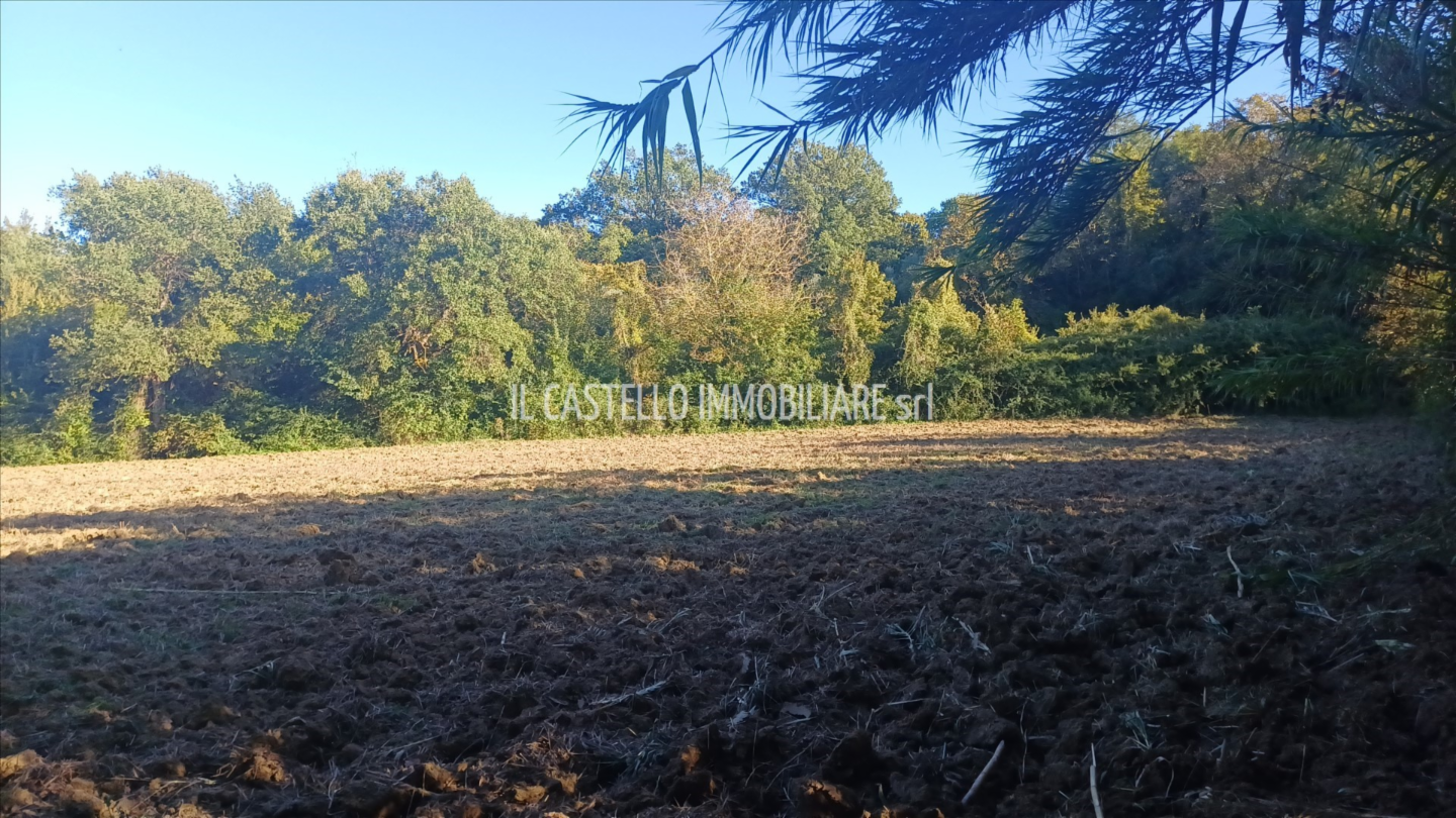 immagine annuncio 2 di 9