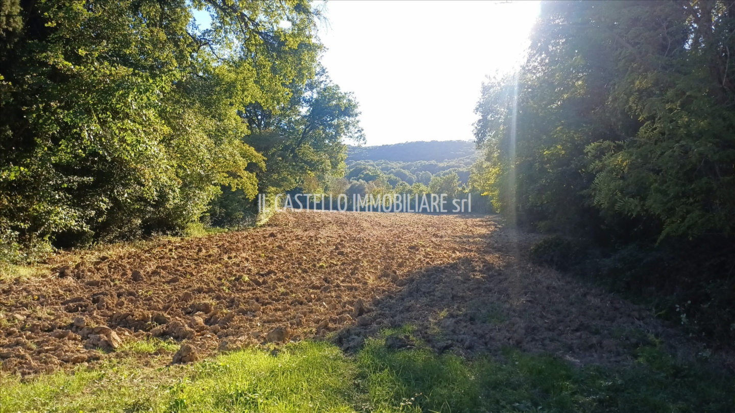 immagine annuncio 4 di 9