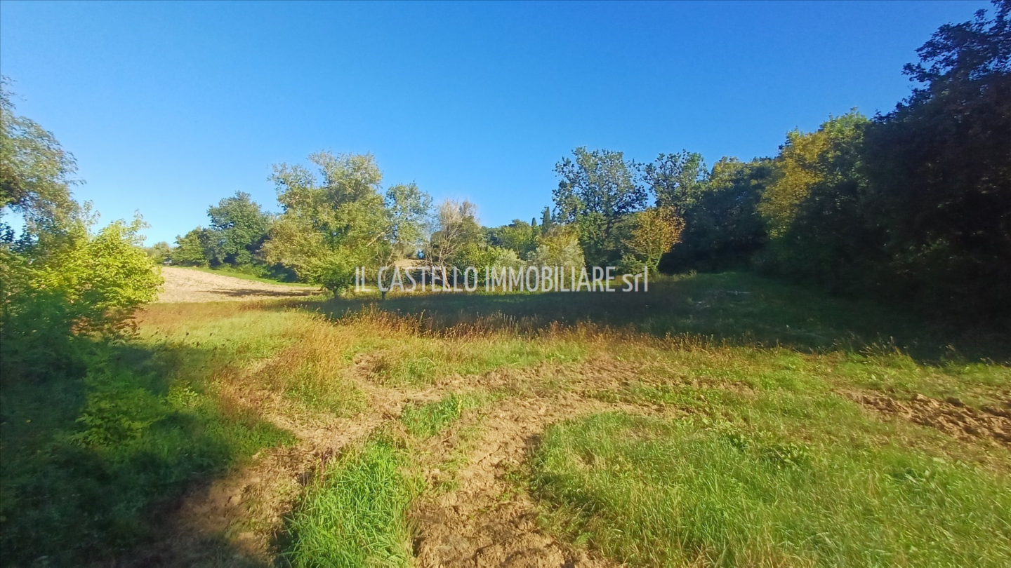 immagine annuncio 6 di 9