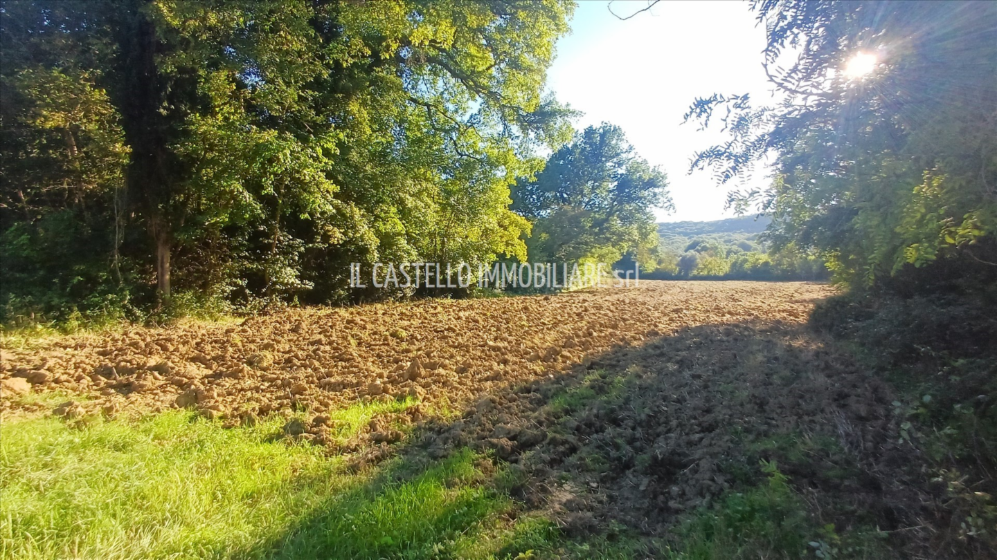 immagine annuncio 7 di 9