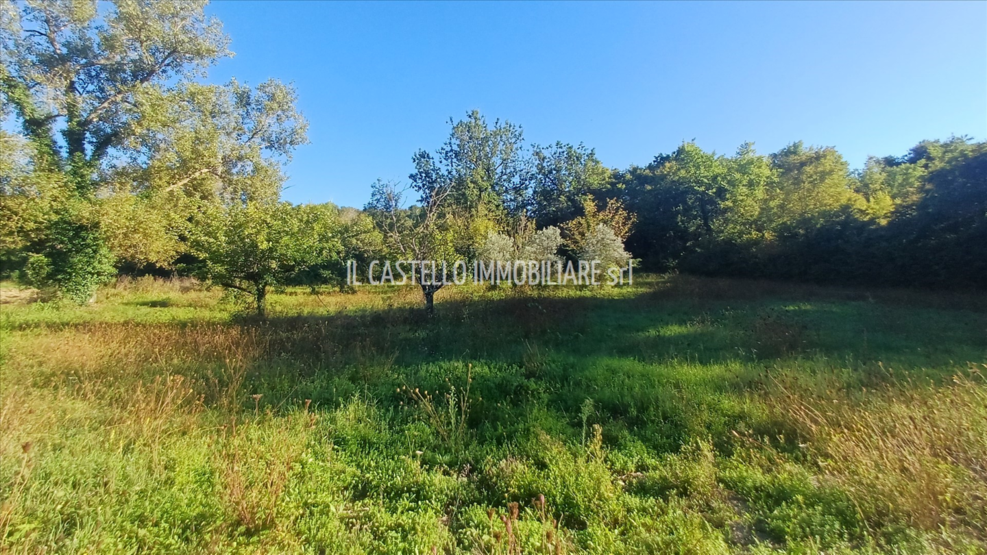 immagine annuncio 8 di 9