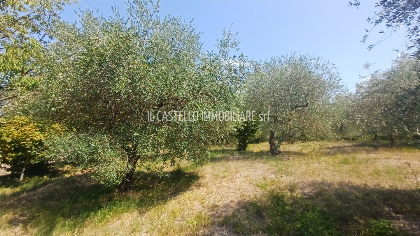 immagine annuncio 5 di 9