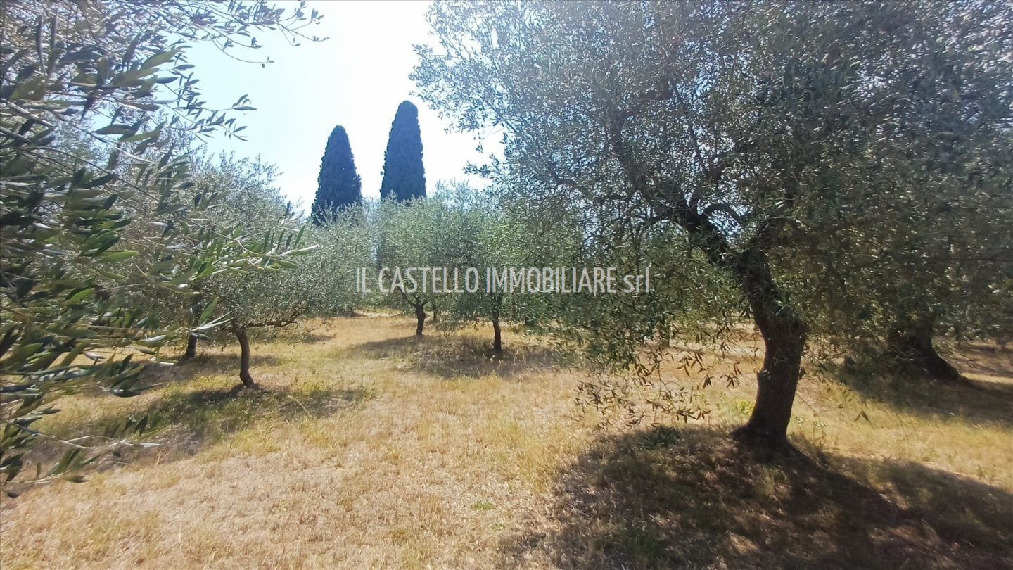 immagine annuncio 7 di 9