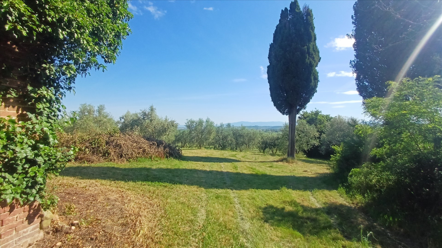 immagine annuncio 6 di 9