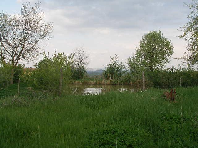 immagine annuncio 2 di 9