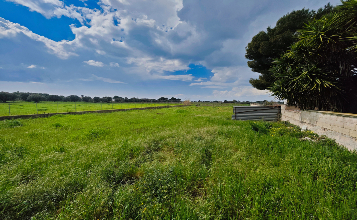 immagine annuncio 1 di 10