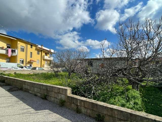 immagine annuncio 1 di 4
