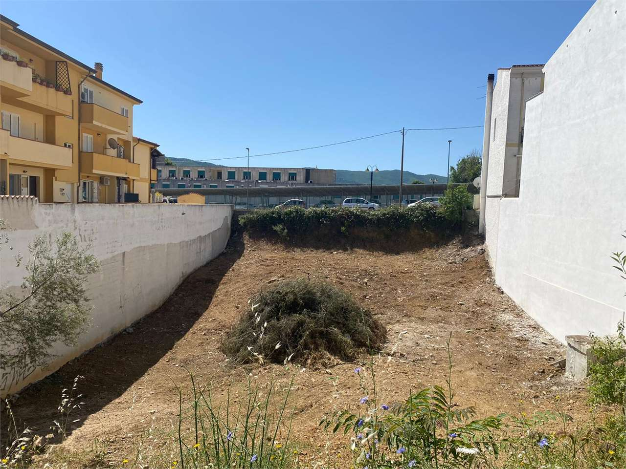immagine annuncio 2 di 3