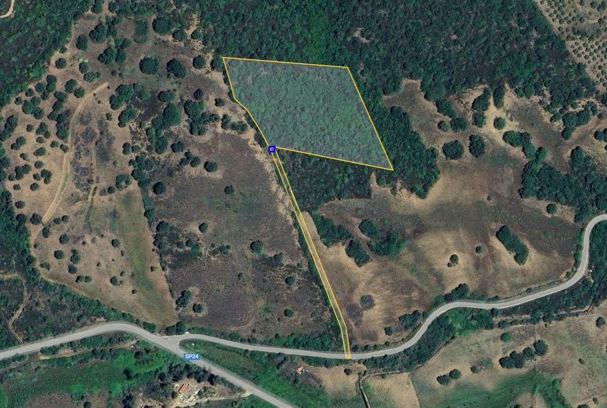 immagine annuncio 1 di 3