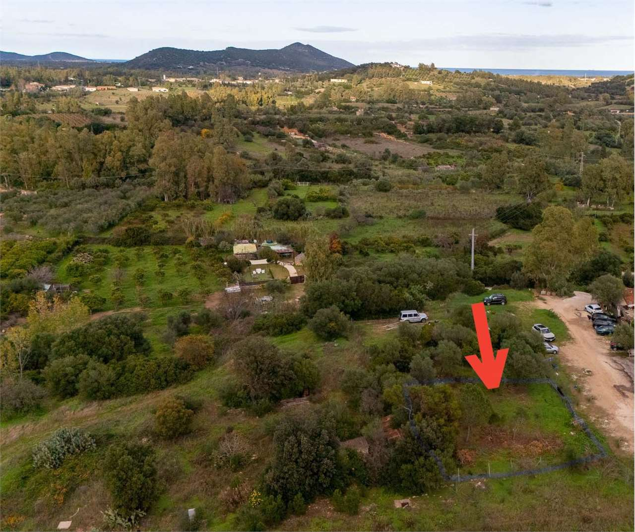 immagine annuncio 1 di 2