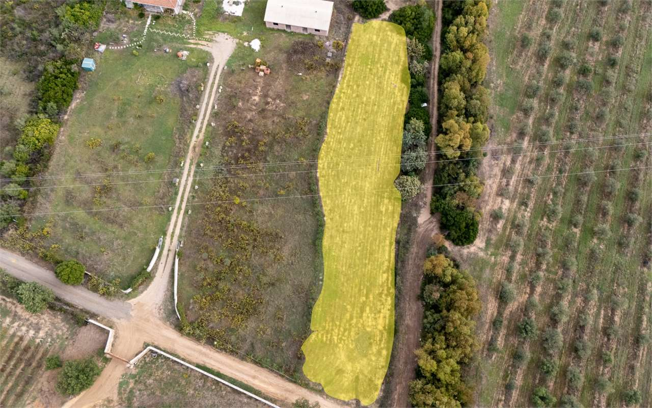 immagine annuncio 1 di 3