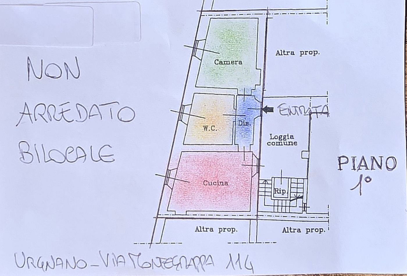 immagine annuncio 1 di 10