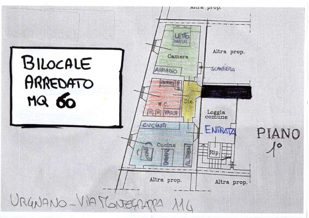 immagine annuncio 1 di 10