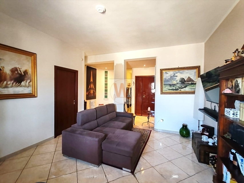 immagine annuncio 1 di 7