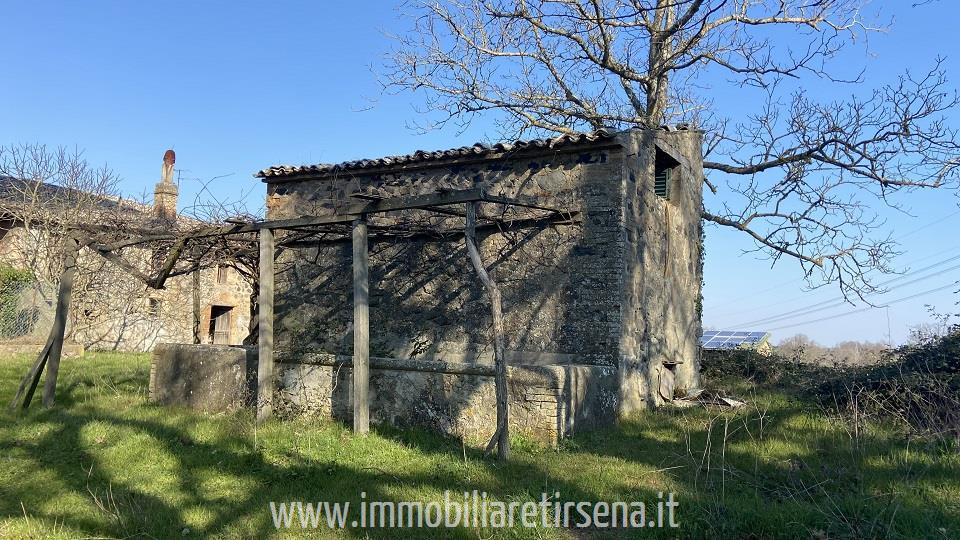 immagine annuncio 4 di 9