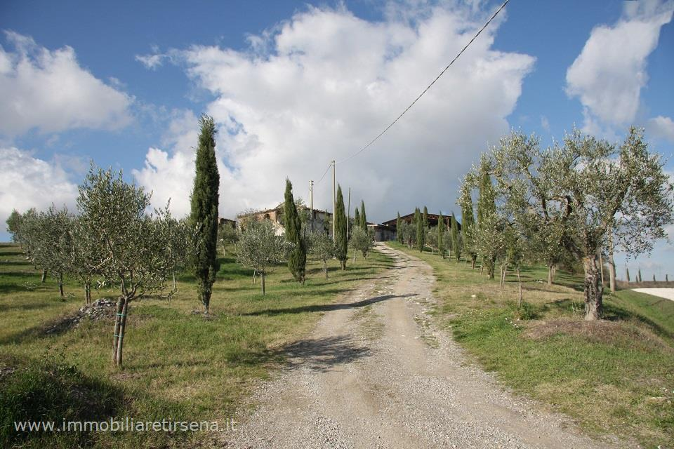 immagine annuncio 4 di 9
