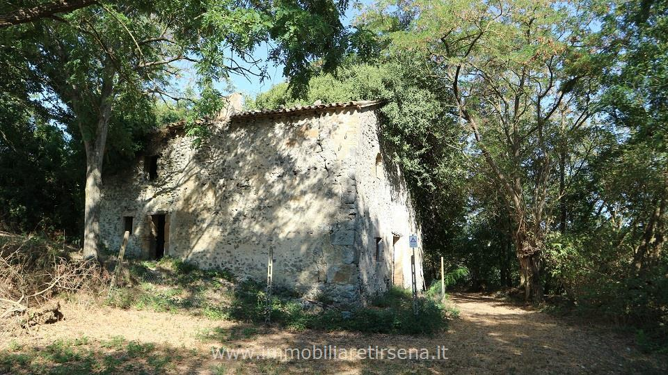 immagine annuncio 4 di 7