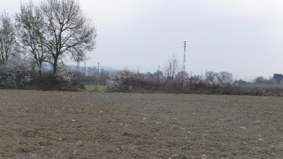 immagine annuncio 8 di 9