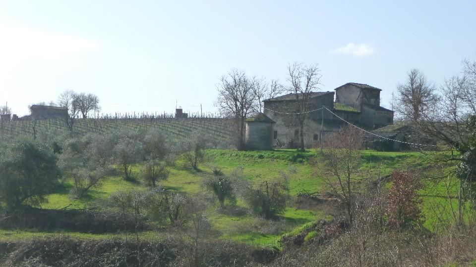 immagine annuncio 3 di 7