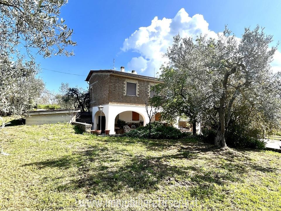 immagine annuncio 2 di 9