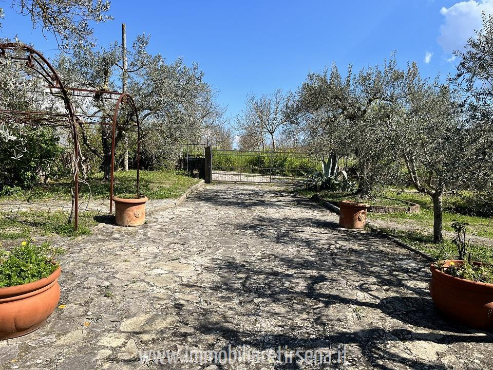 immagine annuncio 3 di 9