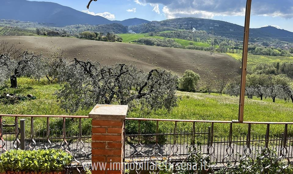 immagine annuncio 4 di 9