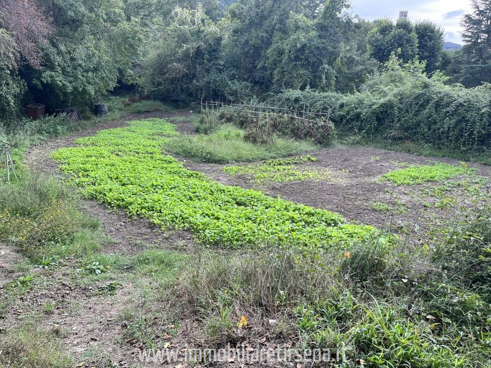 immagine annuncio 3 di 7