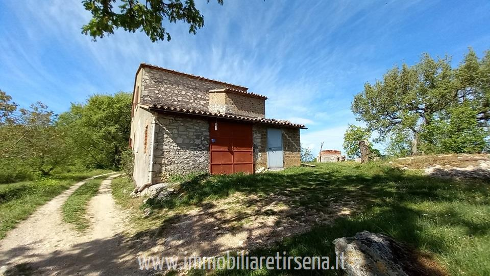 immagine annuncio 4 di 9