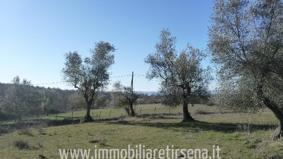 immagine annuncio 6 di 9
