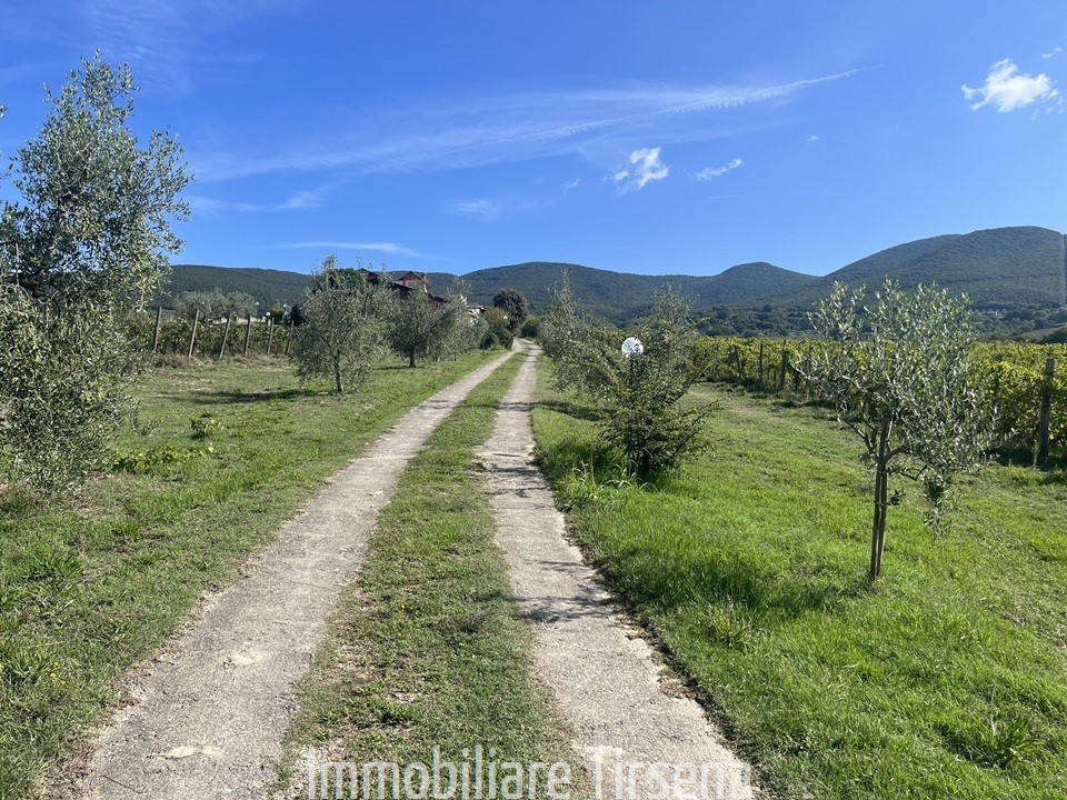 immagine annuncio 4 di 9