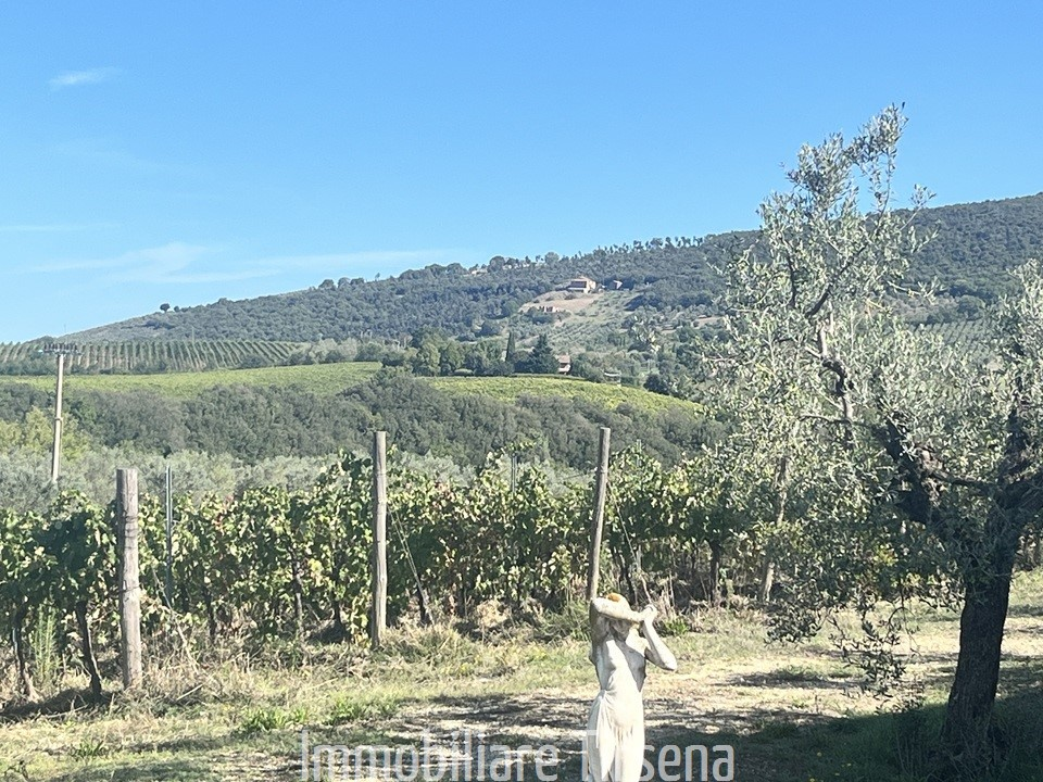 immagine annuncio 8 di 9