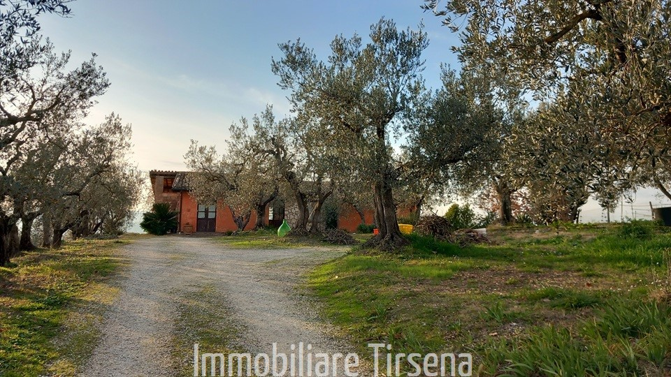 immagine annuncio 2 di 9