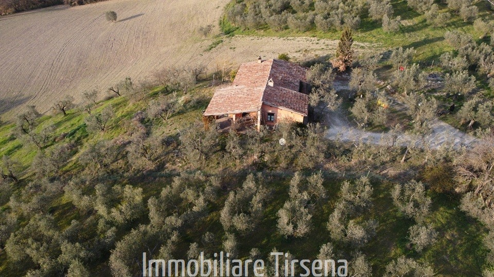 immagine annuncio 6 di 9