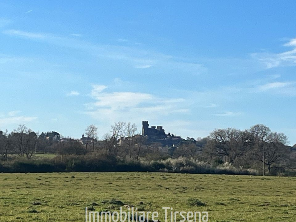 immagine annuncio 4 di 9