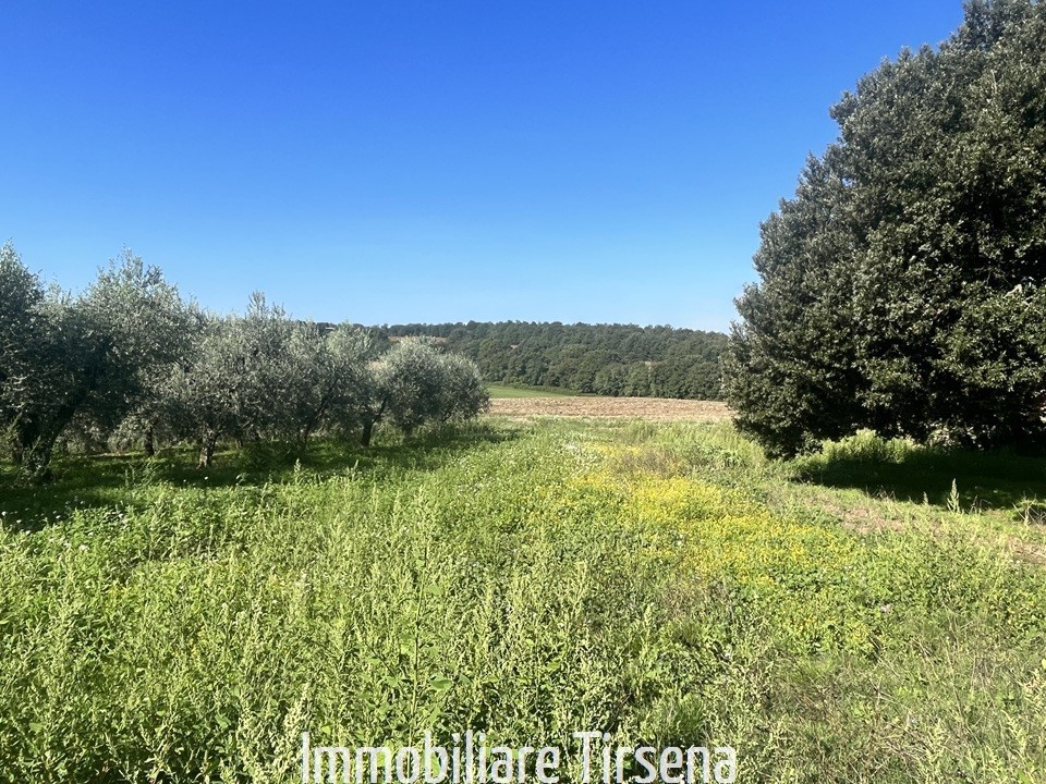 immagine annuncio 6 di 9