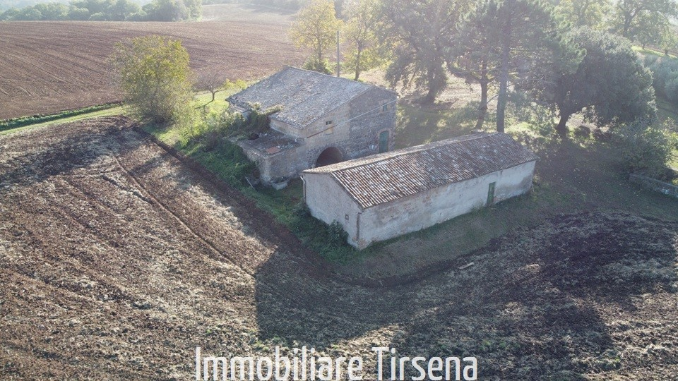 immagine annuncio 4 di 9