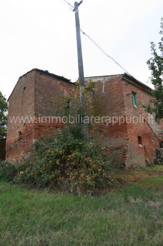 immagine annuncio 4 di 7