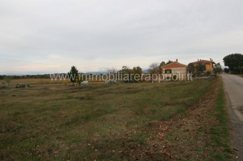 immagine annuncio 3 di 7