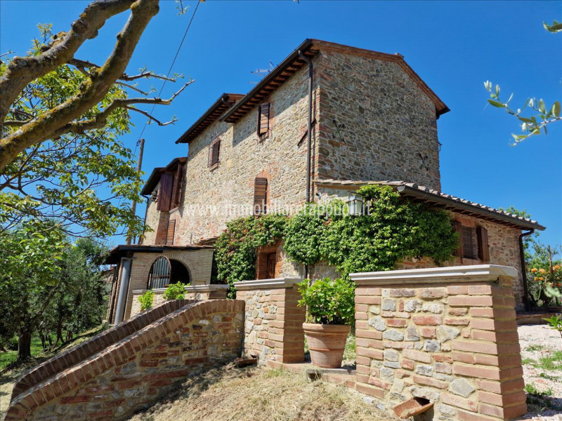 immagine annuncio 6 di 9