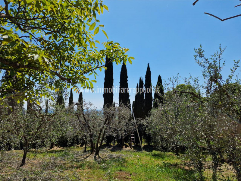 immagine annuncio 8 di 9