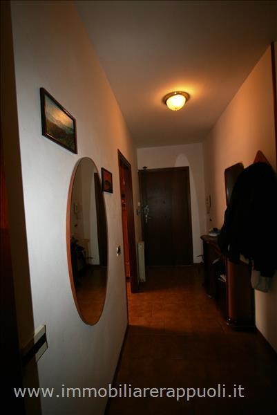 immagine annuncio 2 di 8