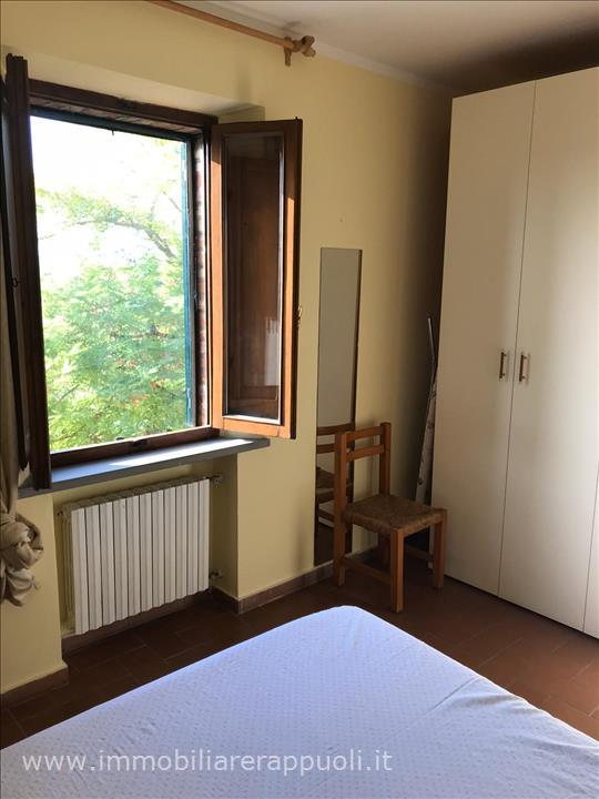 immagine annuncio 5 di 7