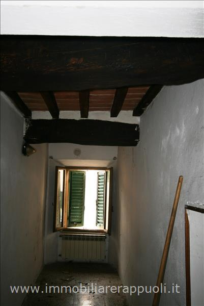 immagine annuncio 5 di 6
