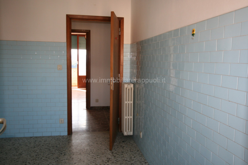 immagine annuncio 5 di 8