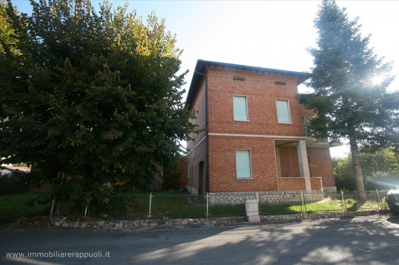 immagine annuncio 5 di 6