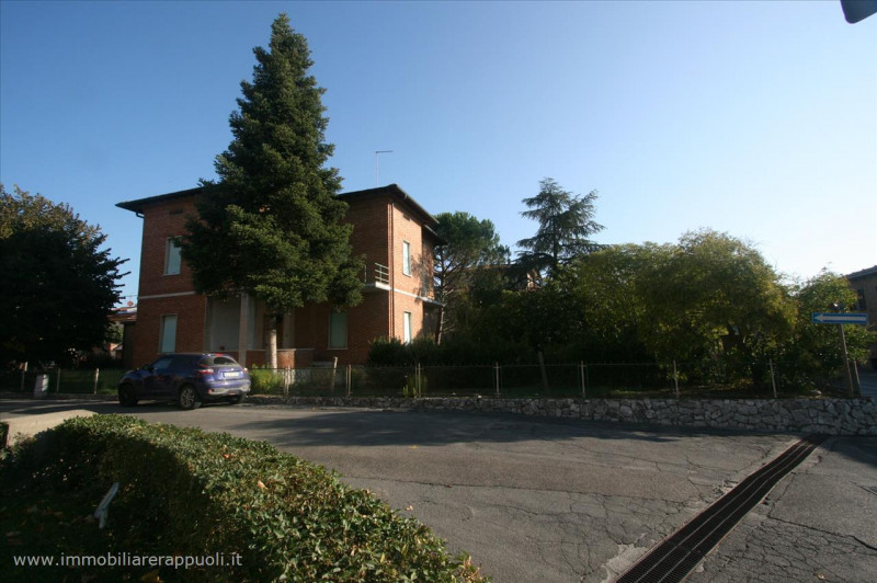 immagine annuncio 4 di 6