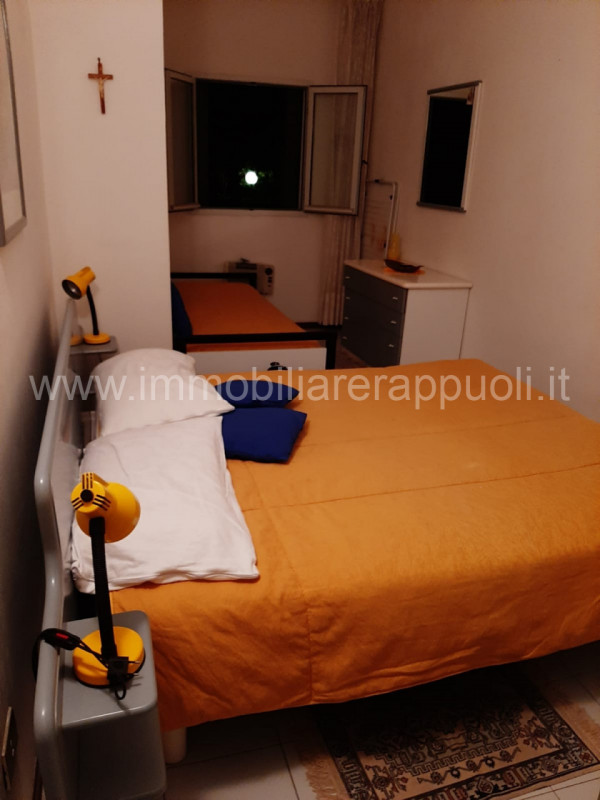 immagine annuncio 2 di 6