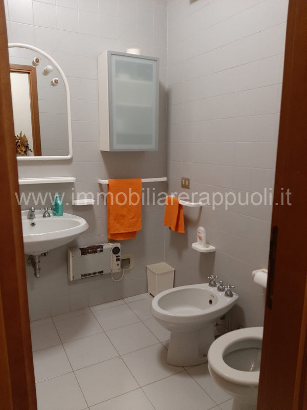 immagine annuncio 5 di 6