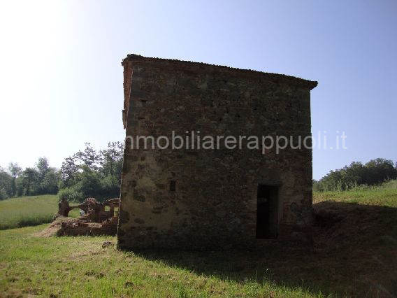 immagine annuncio 5 di 8
